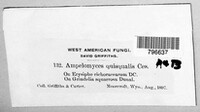 Image Associated With the Occurence